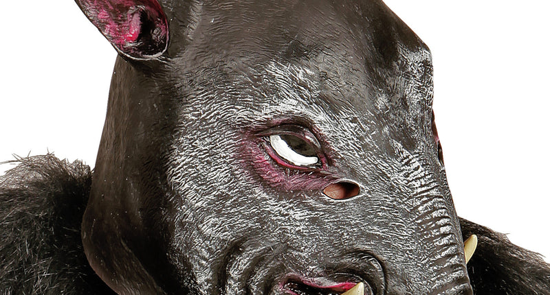 Widmann SRL Mannelijk varkens masker voor party's