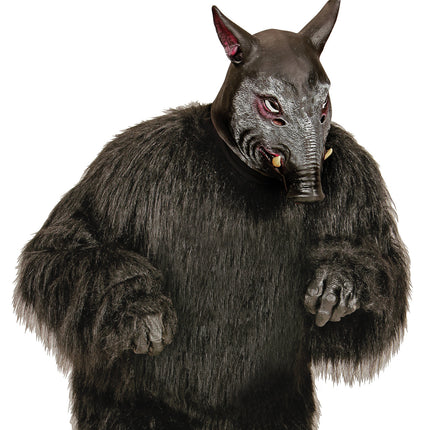 Widmann SRL Mannelijk varkens masker voor party's