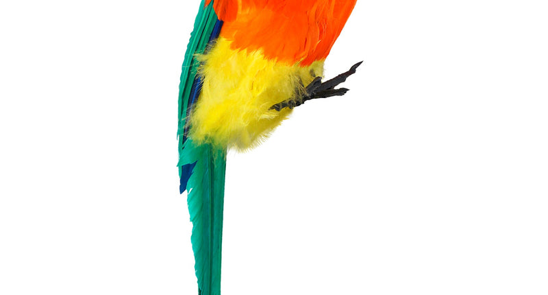 Widmann SRL Nep papegaai groen piraat