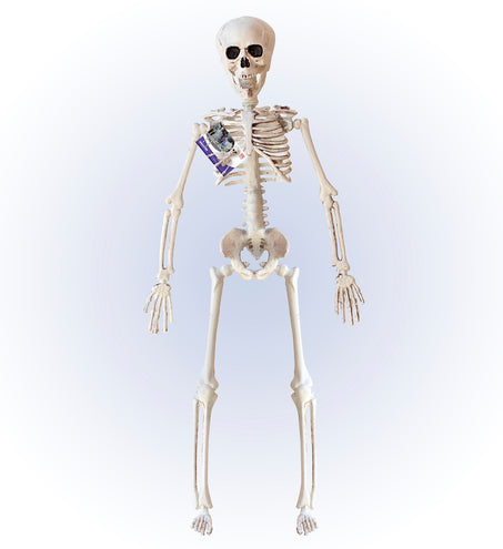 Widmann SRL Nep skelet 40 cm buigbaar