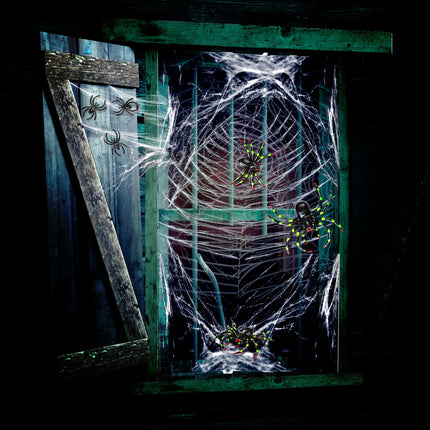 Widmann SRL Nep spinnenweb met spinnen