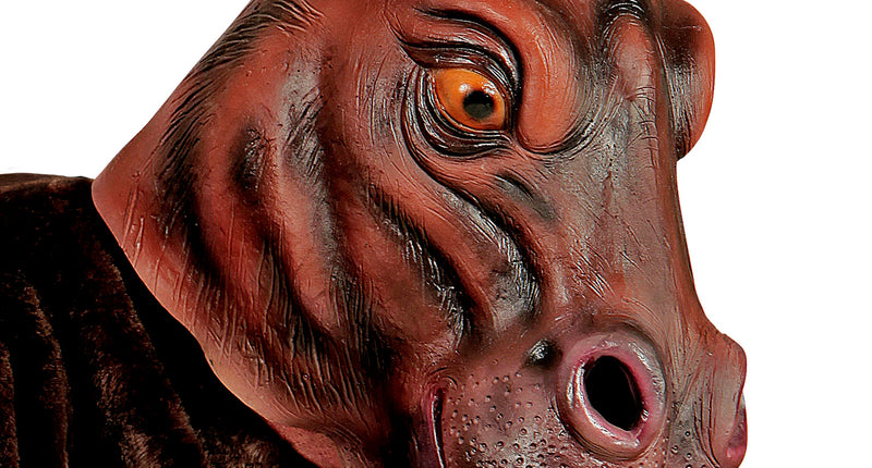 Widmann SRL Nijlpaard masker voor party's