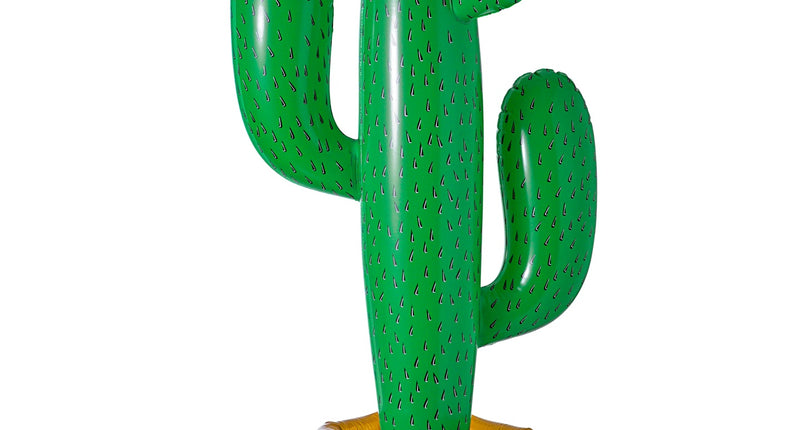 Widmann SRL Opblaasbare cactus