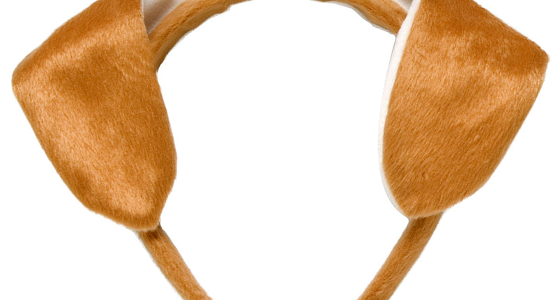 Widmann SRL Oren hond