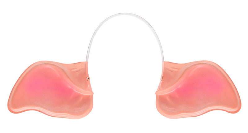 Widmann SRL Oren varken groot