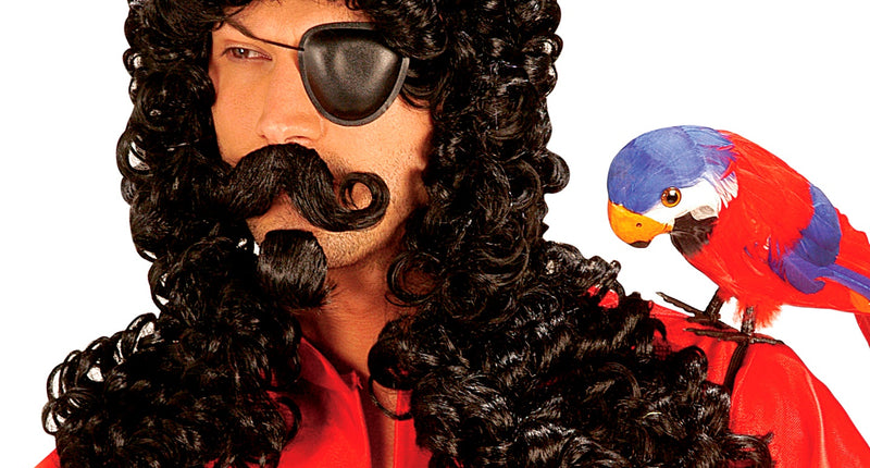 Widmann SRL Piraten pruik zwart met krullen