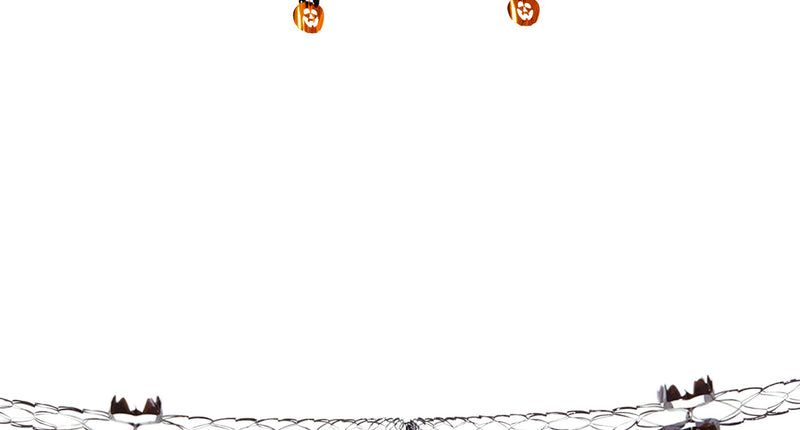 Widmann SRL Pompoenslingers voor Halloween