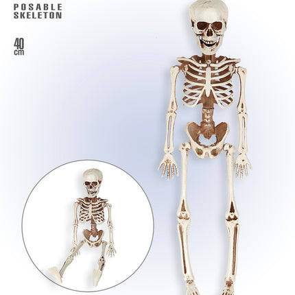 Widmann SRL POSEERBAAR SKELET 40CM
