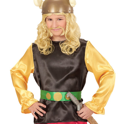 Widmann SRL Pruik kind Romein met snor