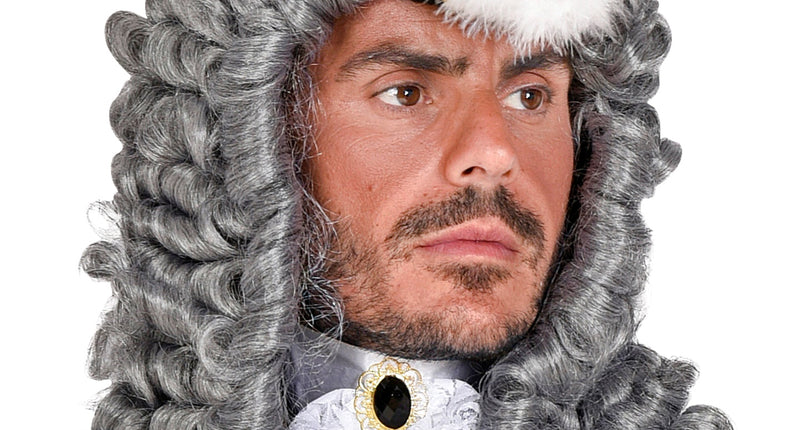 Widmann SRL Rechter of piraten pruik grijs