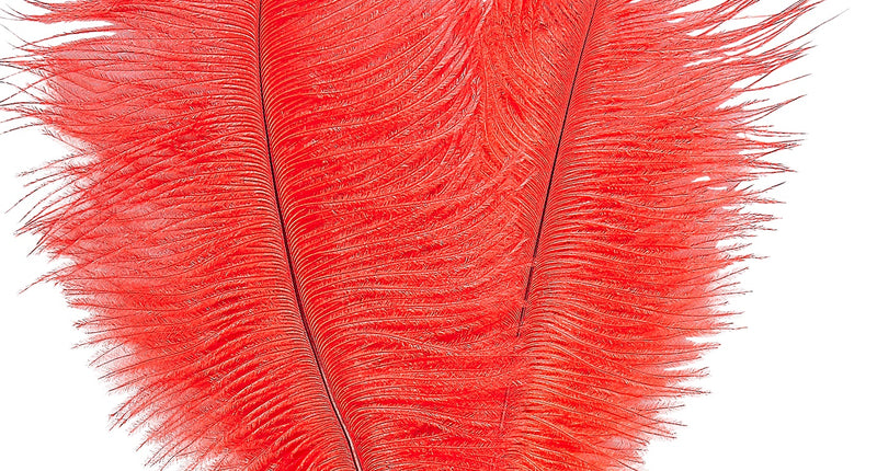 Widmann SRL Rode Charleston hoofdband met veren