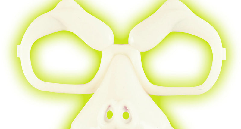 Widmann SRL Schedel bril glow in the dark