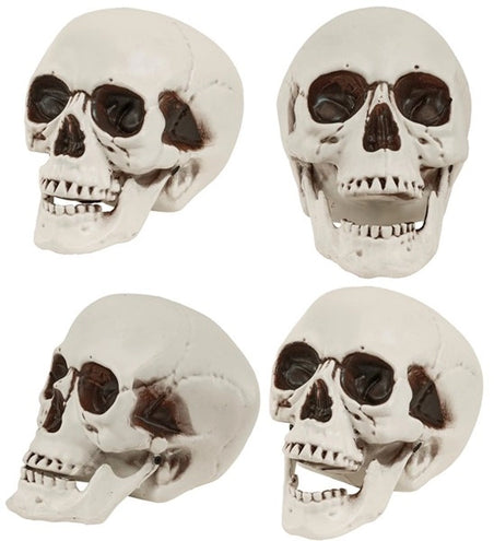 Widmann SRL Schedel met beweegbare kaak 12cm Mees