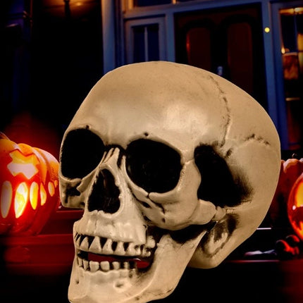 Widmann SRL Schedel met beweegbare kaak 12cm Mees