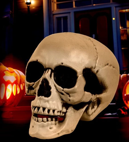 Widmann SRL Schedel met beweegbare kaak 12cm Mees