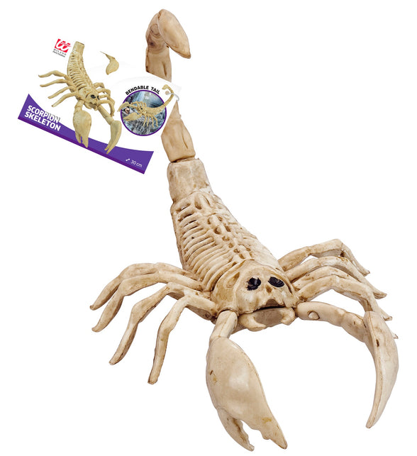 Widmann SRL Schorpioen skelet