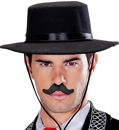 Widmann SRL Set van 6 plak snorren zwart