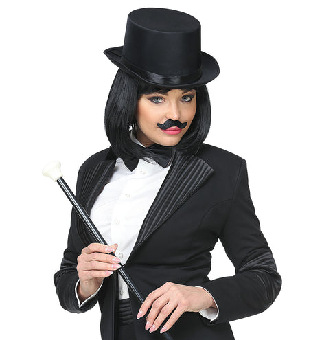 Widmann SRL Set van 6 plak snorren zwart