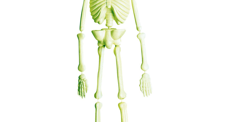 Widmann SRL Skelet hangend glow in the dark