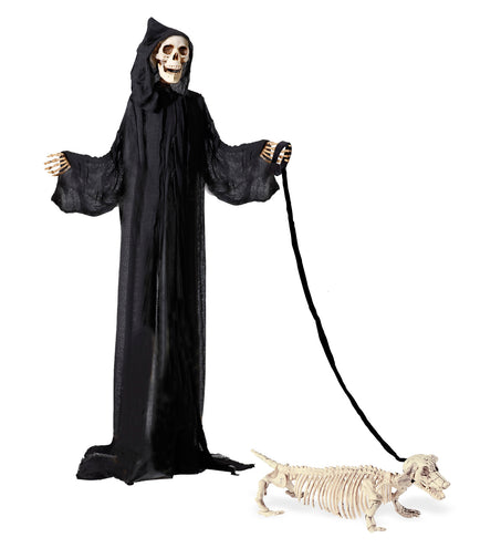 Widmann SRL Skelet tekkel 55cm