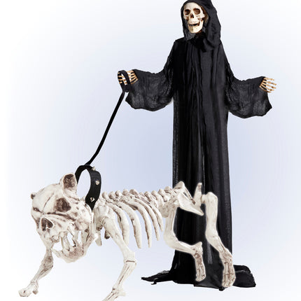 Widmann SRL Skelet van een hond