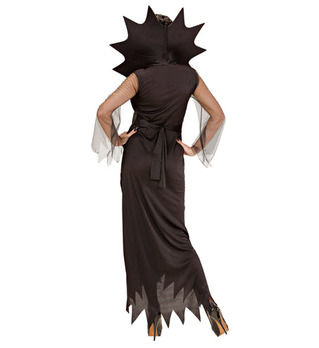 Widmann SRL Spinnen vrouw kostuum Spider