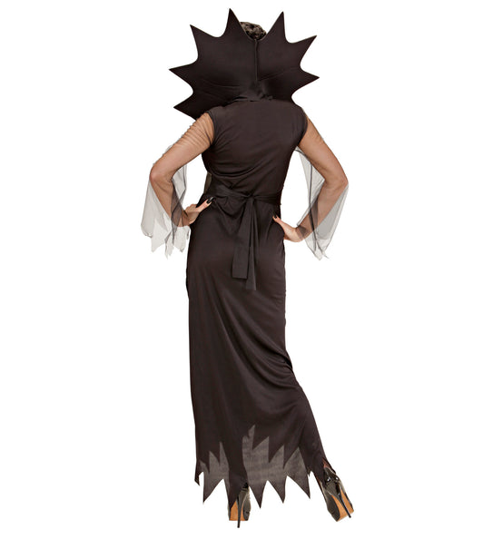 Widmann SRL Spinnen vrouw kostuum Spider