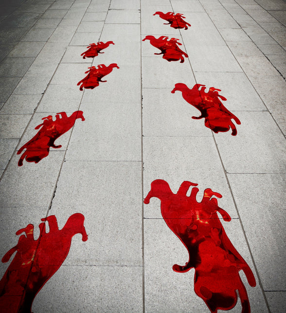 Widmann SRL Sticker bloederige voeten