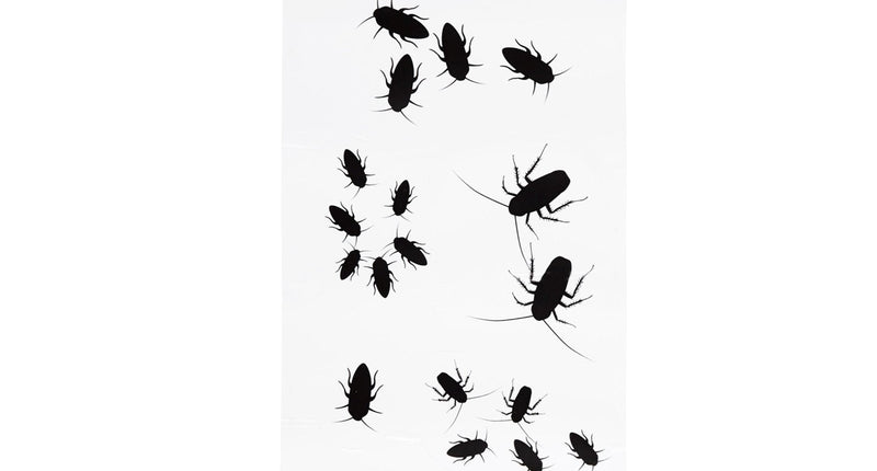 Widmann SRL Stickers met ongedierte