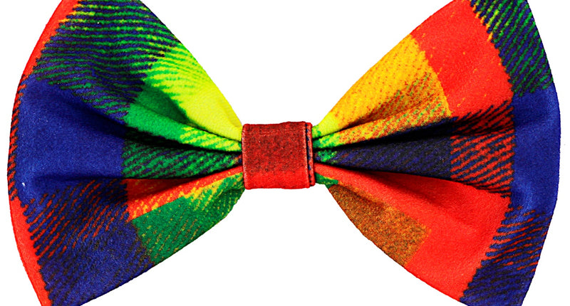 Widmann SRL Strik clown multi