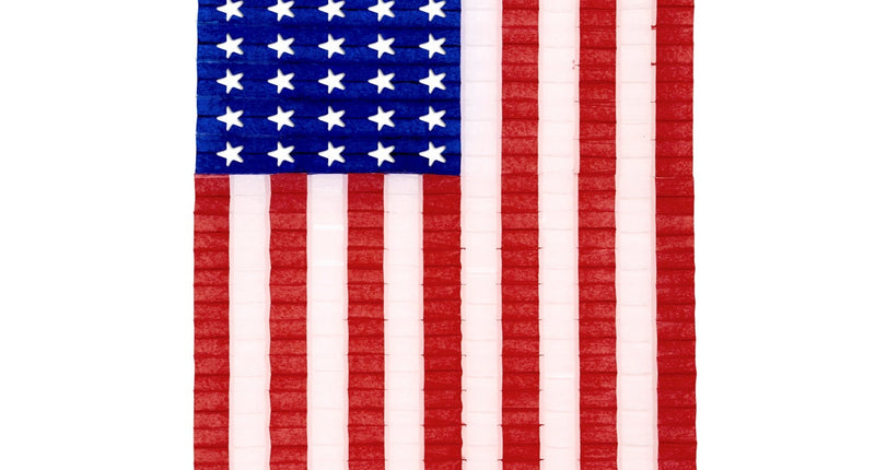 Widmann SRL USA vlag van papier