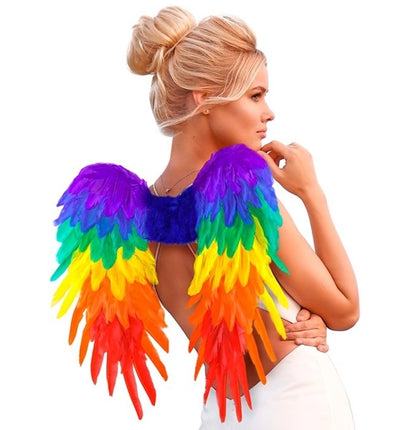 Widmann SRL Veren vleugels regenboog opvouwbaar 50 x 50cm Roos