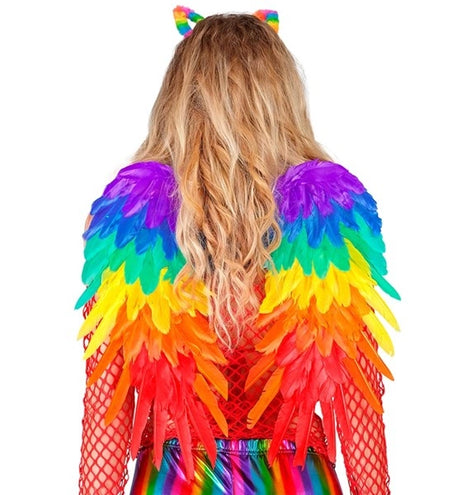 Widmann SRL Veren vleugels regenboog opvouwbaar 50 x 50cm Roos