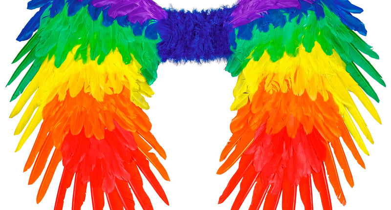 Widmann SRL Veren vleugels regenboog opvouwbaar 80x60 cm