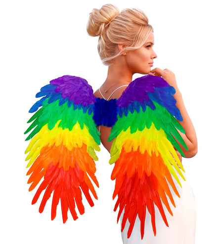 Widmann SRL Veren vleugels regenboog opvouwbaar 80x60 cm