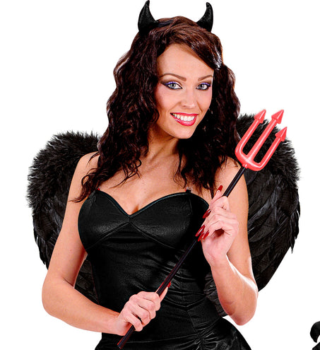 Widmann SRL Veren vleugels zwart 37x50cm