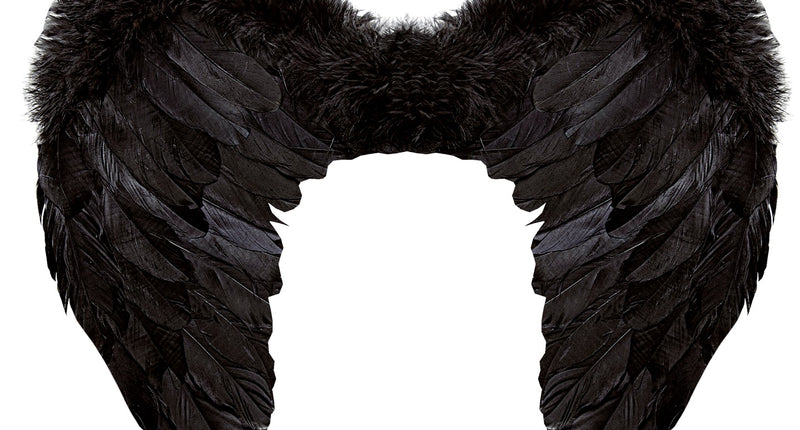 Widmann SRL Veren vleugels zwart 37x50cm