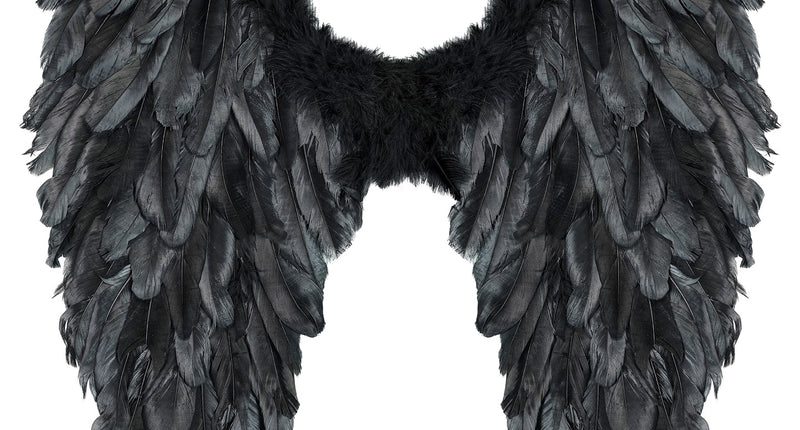 Widmann SRL Vleugel zwart