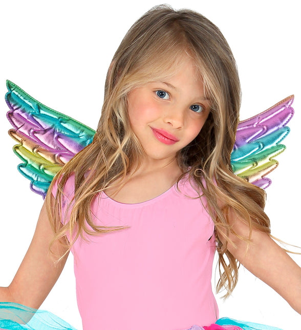 Widmann SRL Vleugels regenboog 43x22 cm