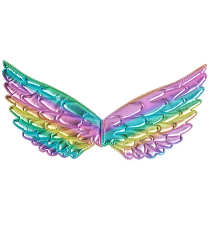 Widmann SRL Vleugels regenboog 43x22 cm