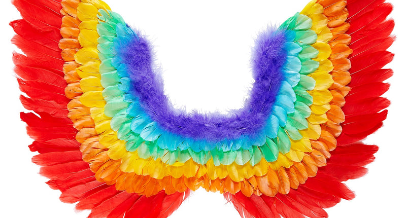 Widmann SRL Vleugels regenboog