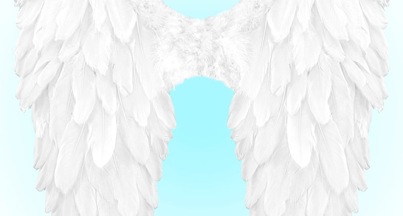 Widmann SRL Vleugels wit