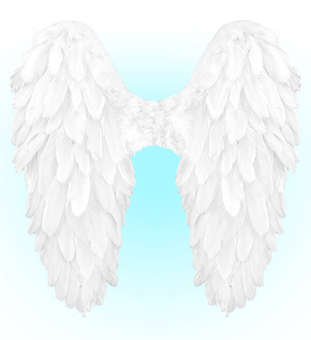 Widmann SRL Vleugels wit