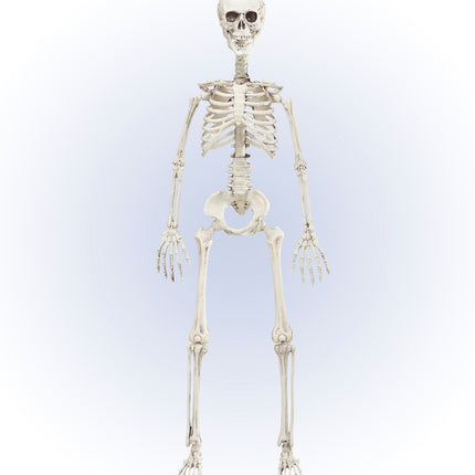 Widmann SRL Vorm baar skelet Halloween