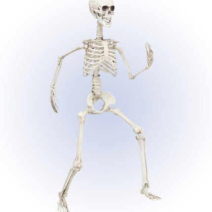 Widmann SRL Vorm baar skelet Halloween