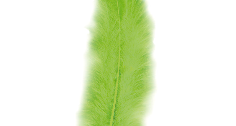 Widmann SRL Zakje Met 50 Veertjes Groen