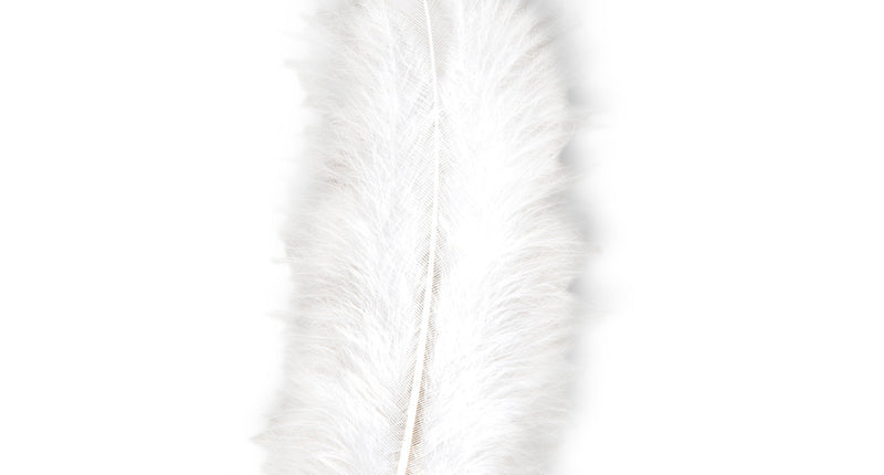 Widmann SRL zakje met 50 veertjes wit