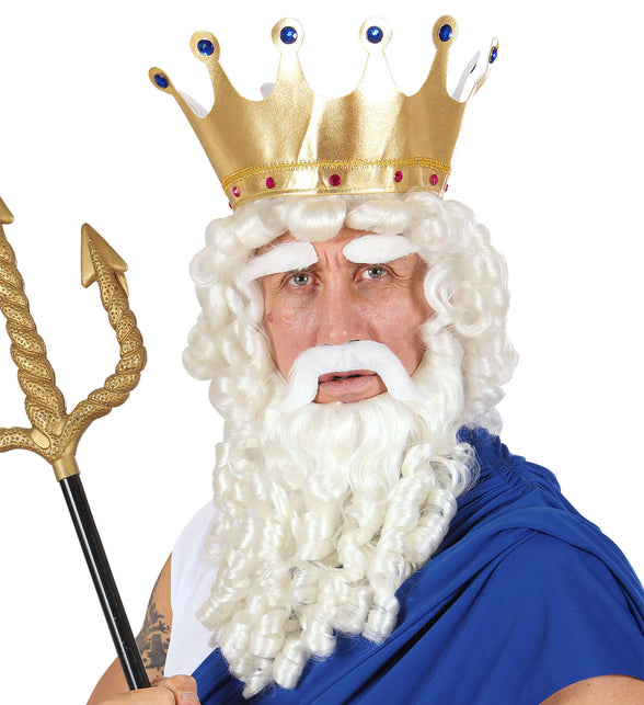 Widmann SRL Zeus pruik Olympische god compleet