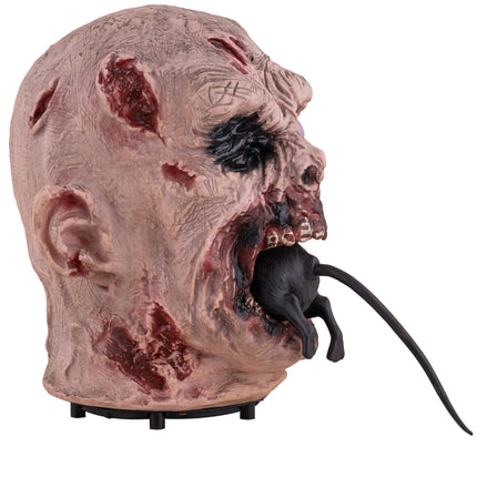Zombiehoofd decoratie op zwarte voet, profiel met opengesperde kaak en ratstaart