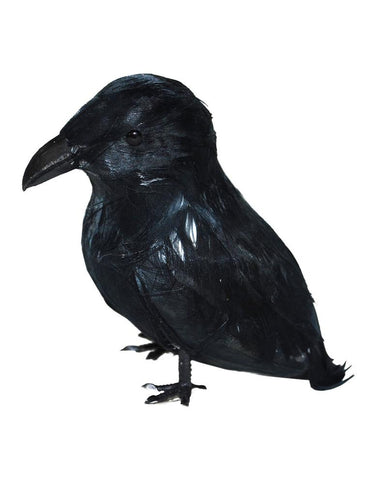 Zwarte kraai voor Halloween, decoratievogel van 9 cm met veren en zwarte snavel